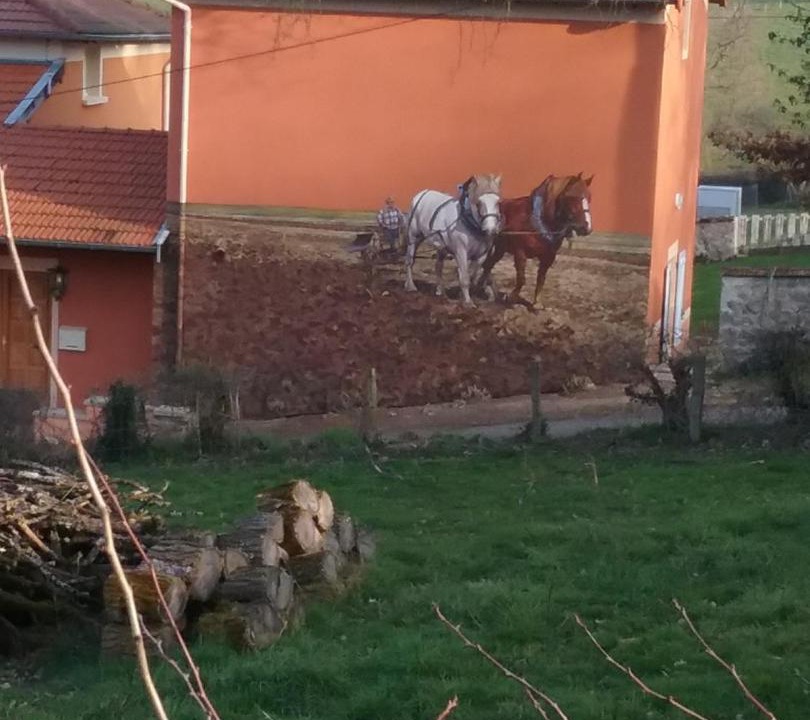 Photo of Others in Saint-Bonnet-les-Oules