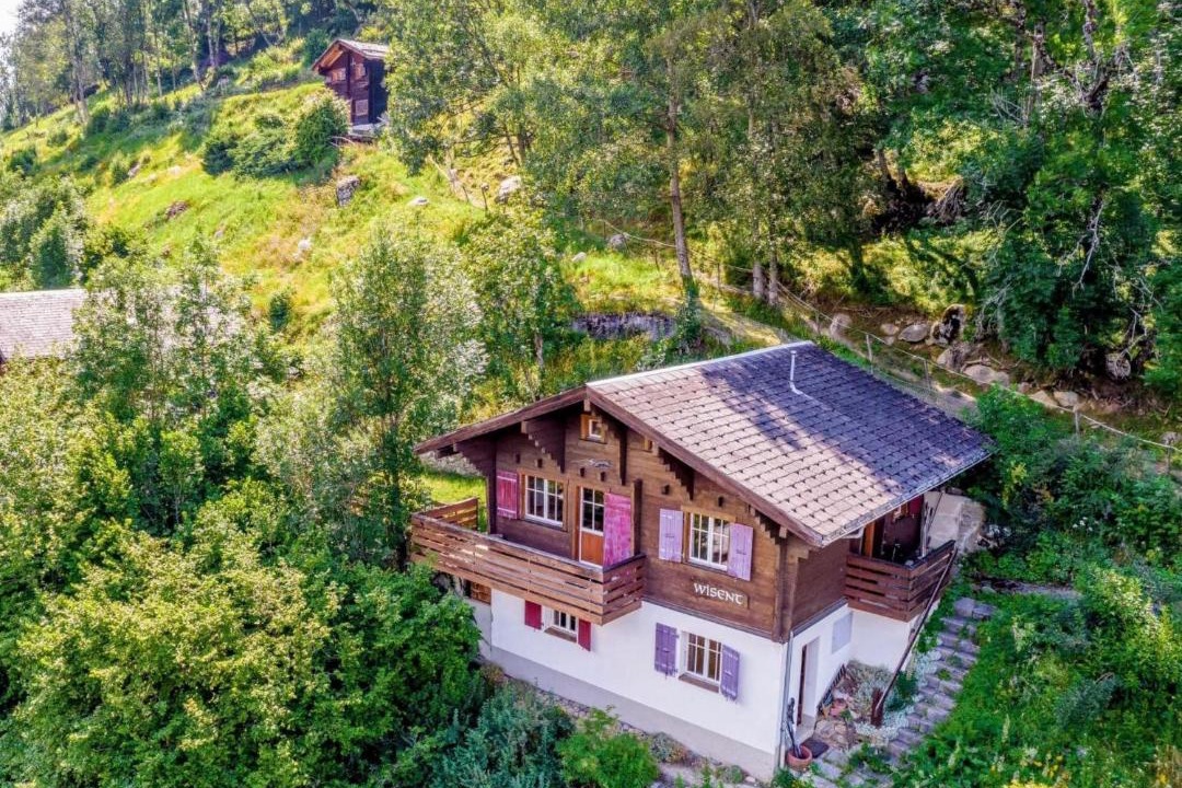 Photo of Others in Fiesch