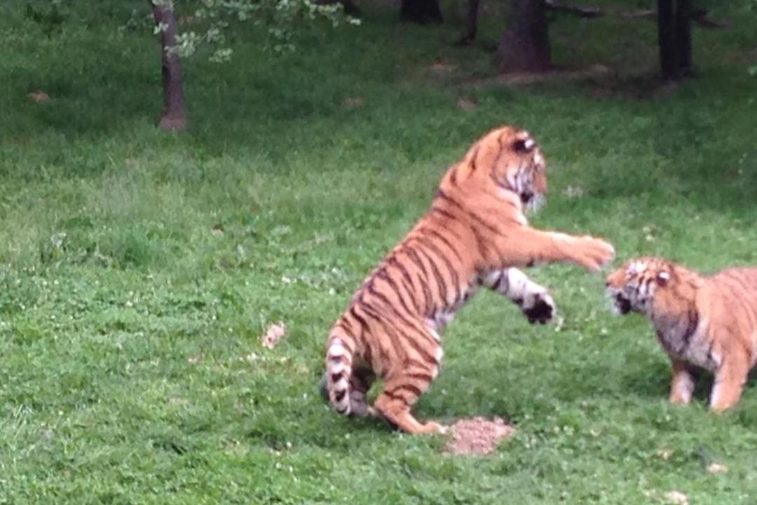 Photo of Others in Peaugres