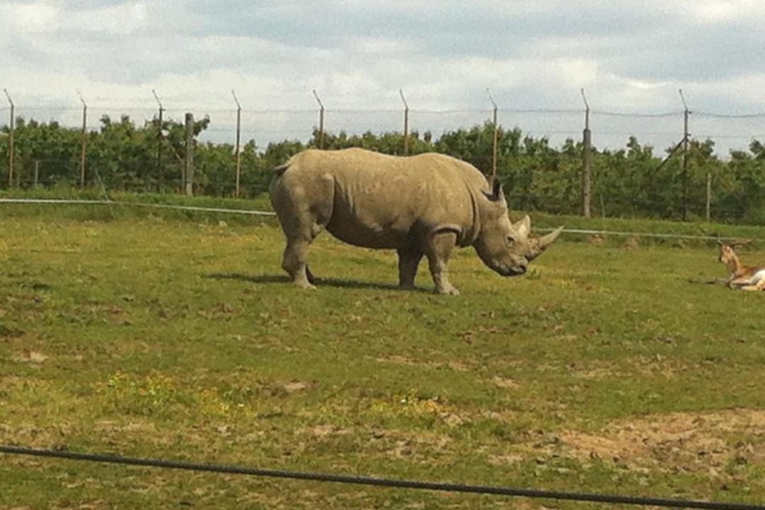 Photo of Others in Peaugres