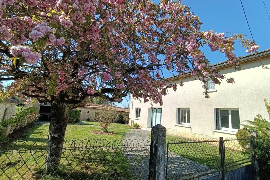 Photo of Others in Brux