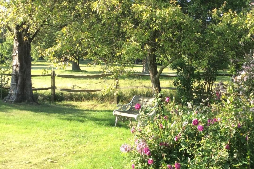 Photo of Others in Wisborough Green