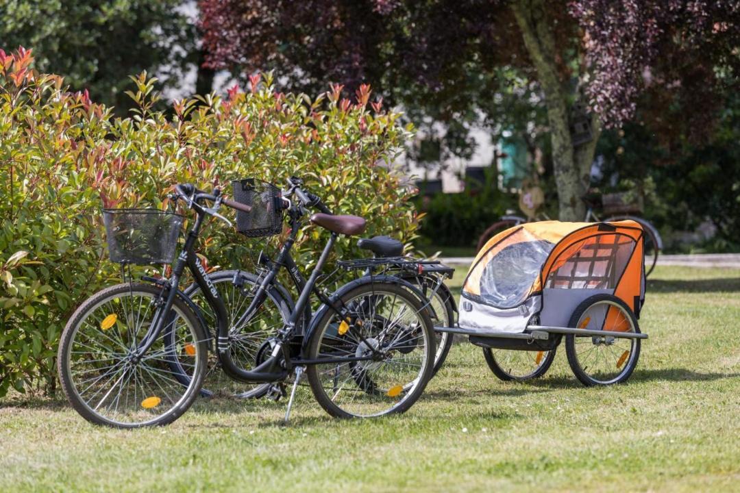Photo of Outdoor in Sabres