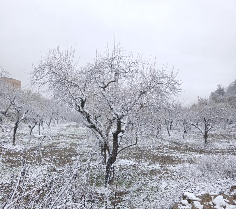 Photo of Others in Llimiana