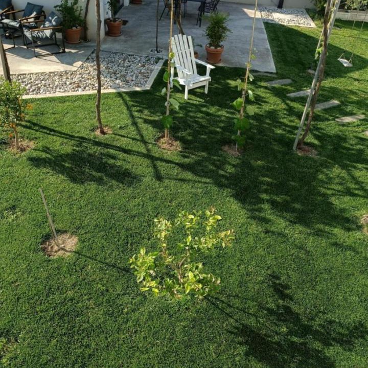 Photo of Others in Opuzen
