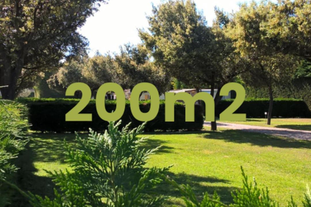 Photo of Others in Violes