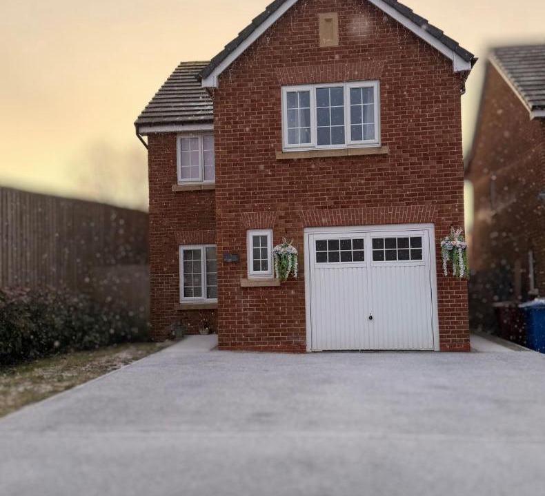 Photo of Others in Guide