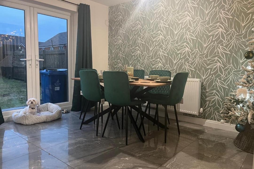 Photo of Others in Guide