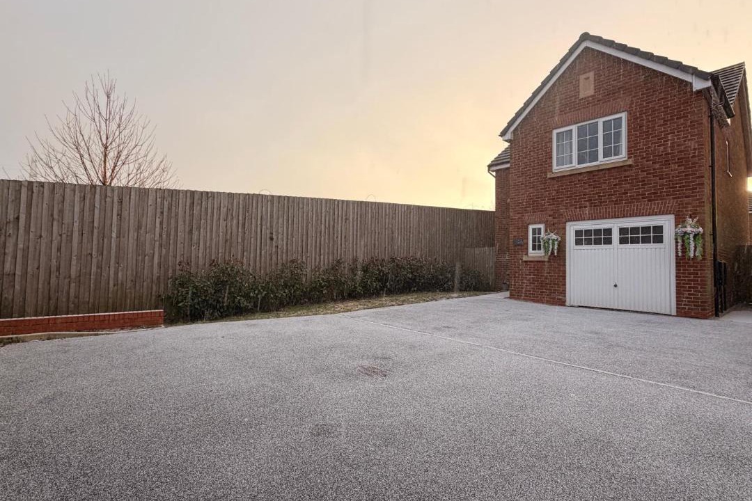 Photo of Others in Guide