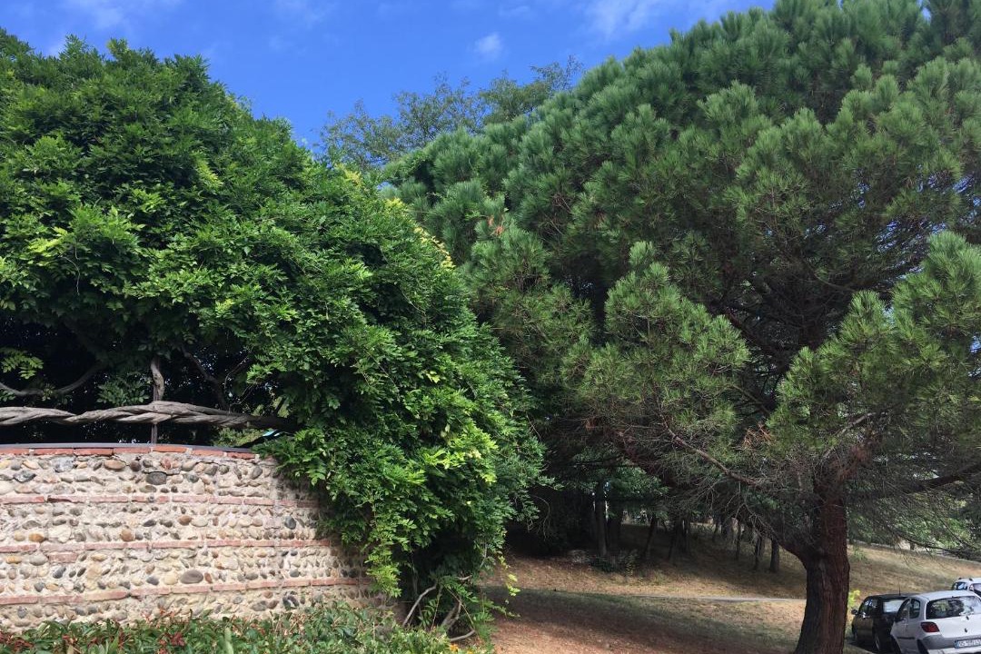 Photo of Outdoor in Ancely