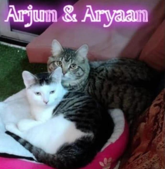 Photo of Others in North Greenford