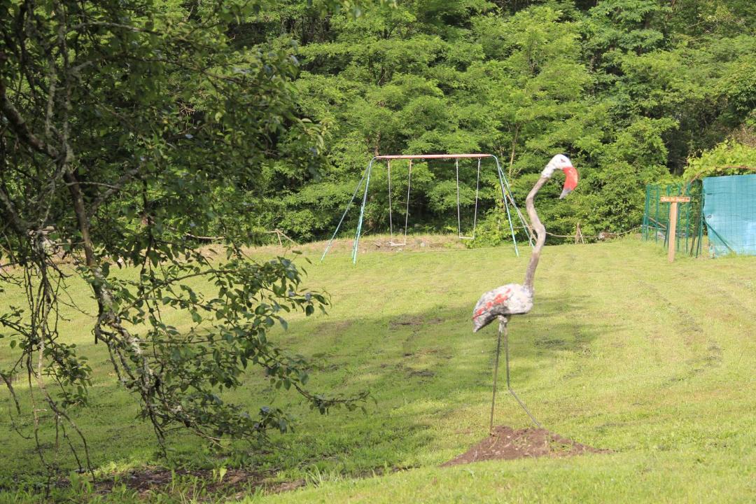 Photo of Others in Saint-Michel-de-Deze