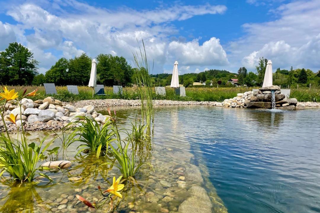 Photo of Others in Saint-Dier-dʼAuvergne