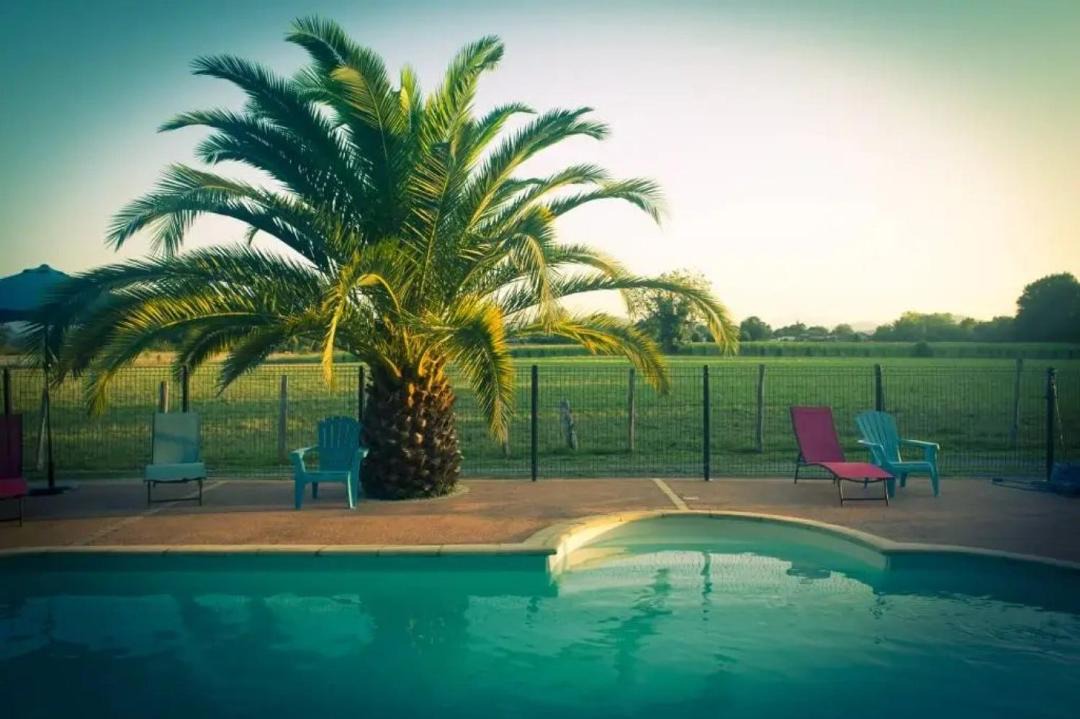 Photo of Others in Aren