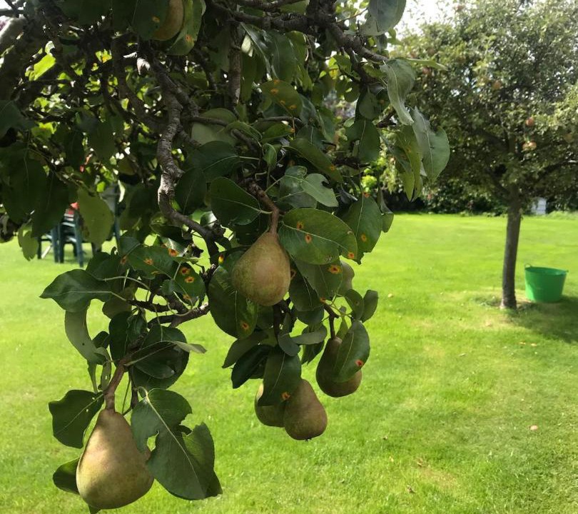 Photo of Others in Stourbridge