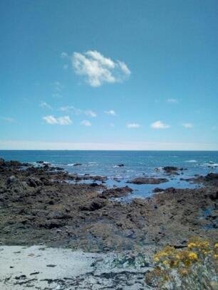 Photo of Others in Batz-sur-Mer