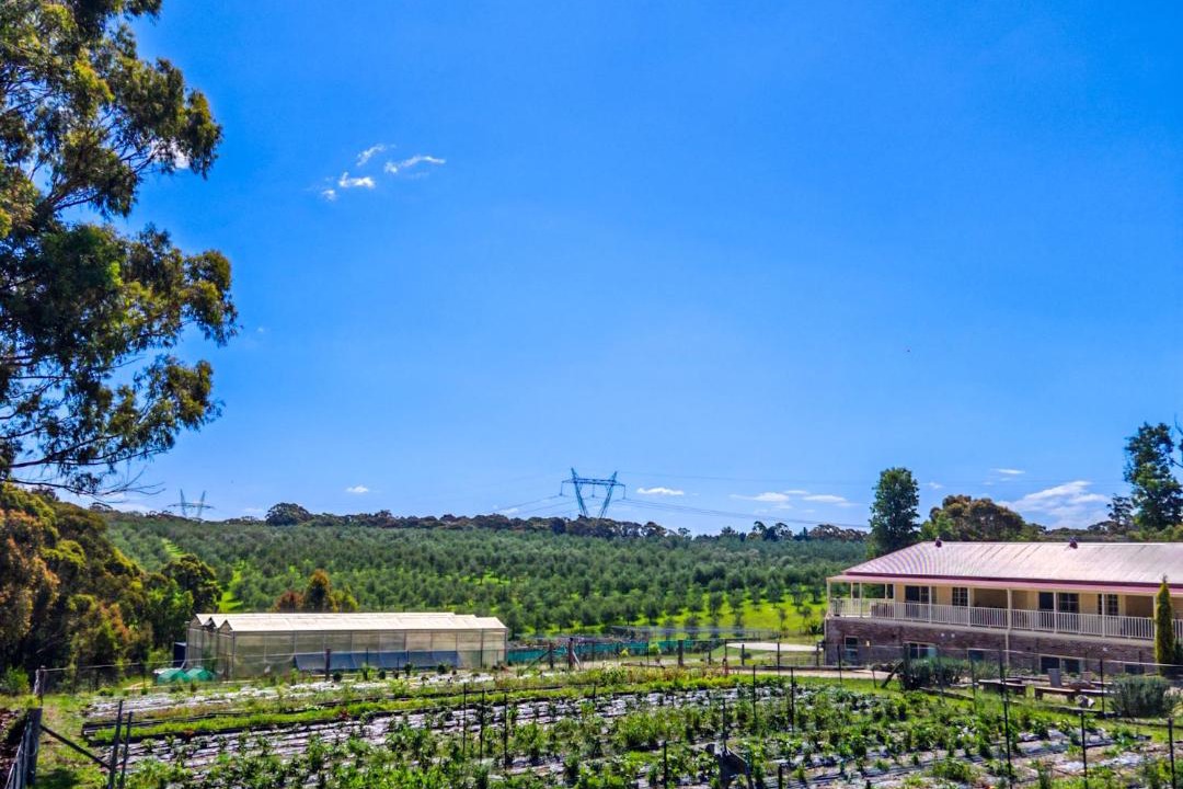 Photo of Others in Canyonleigh