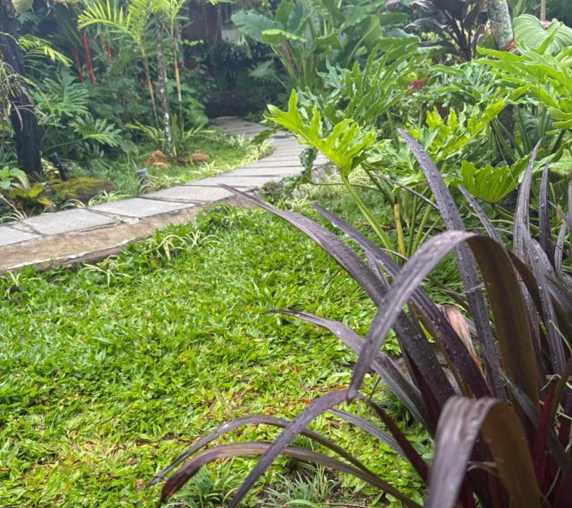 Photo of Outdoor in Melayang