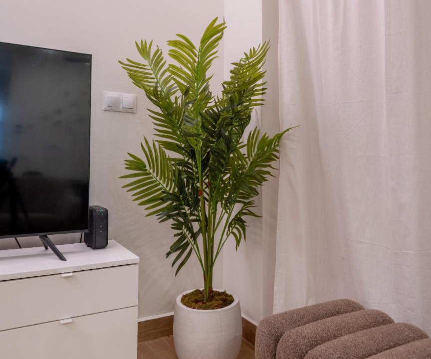 Photo of Livingroom in El Cabanyal
