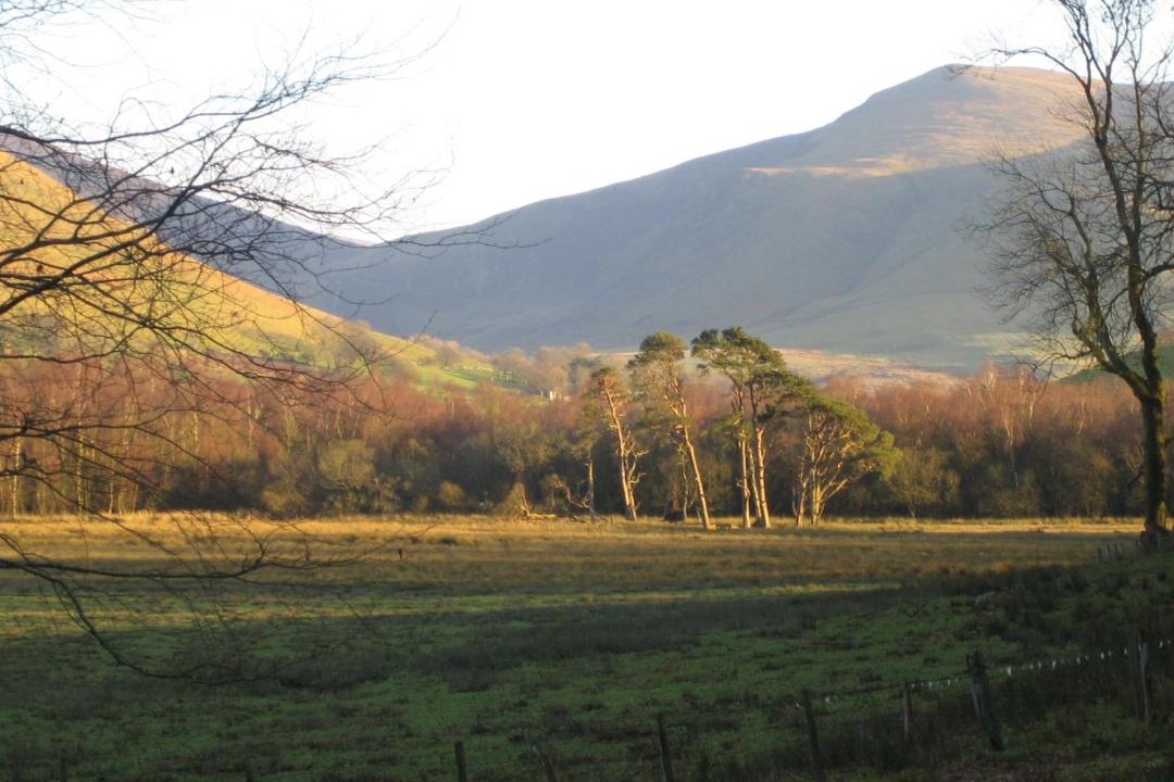 Photo of Others in Wigton