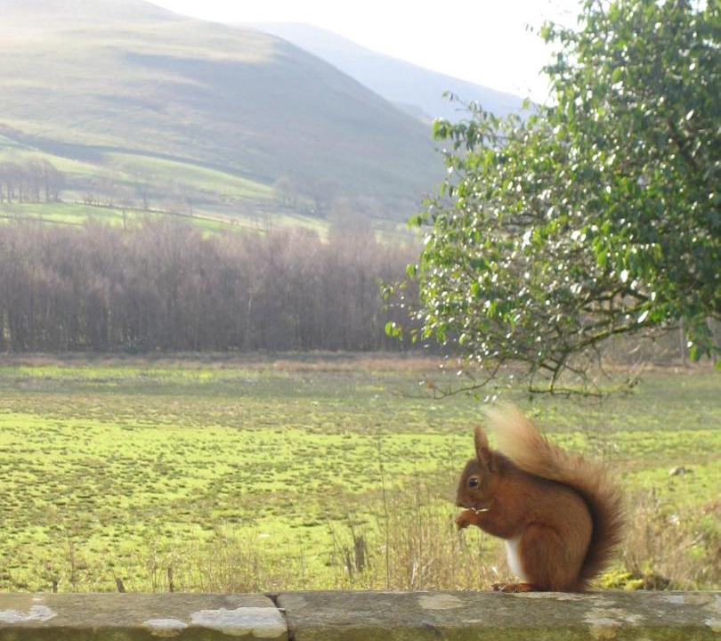 Photo of Others in Wigton