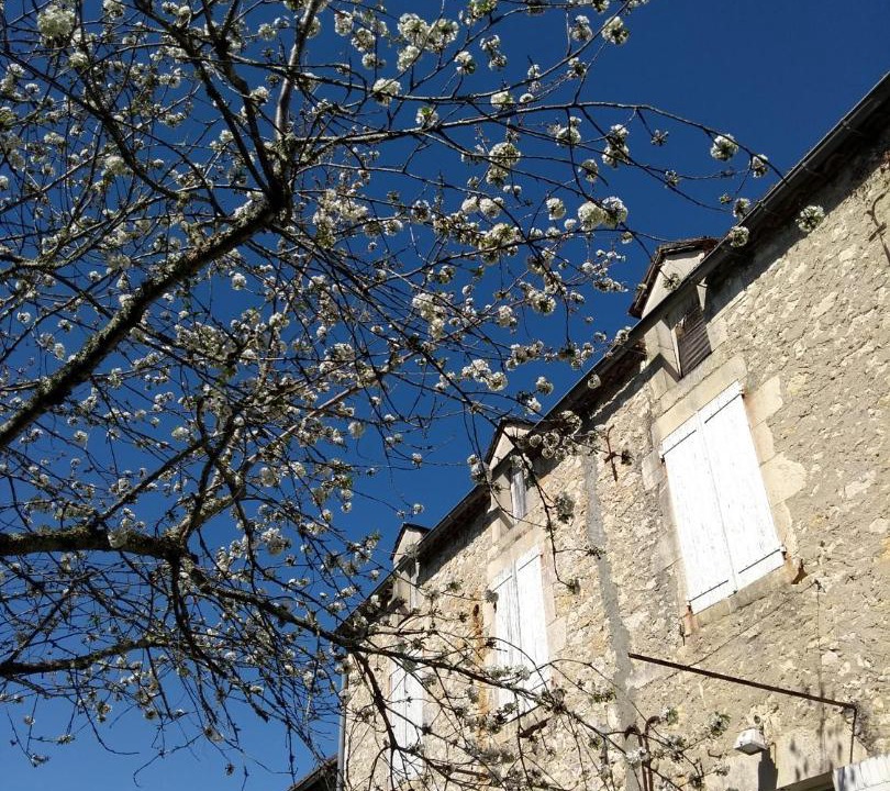 Photo of Others in Souillac
