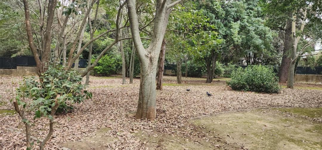 Photo of Others in Celleneuve