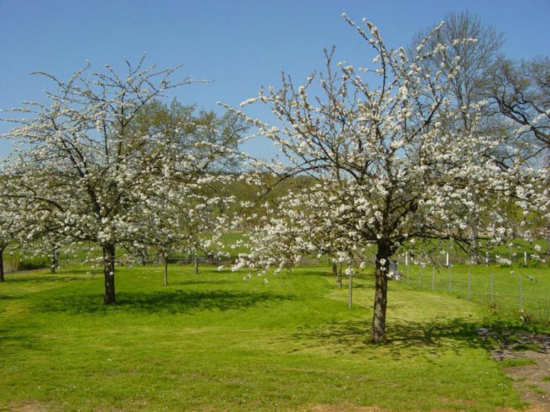 Photo of Outdoor in Saint-Pierre-de-Manneville