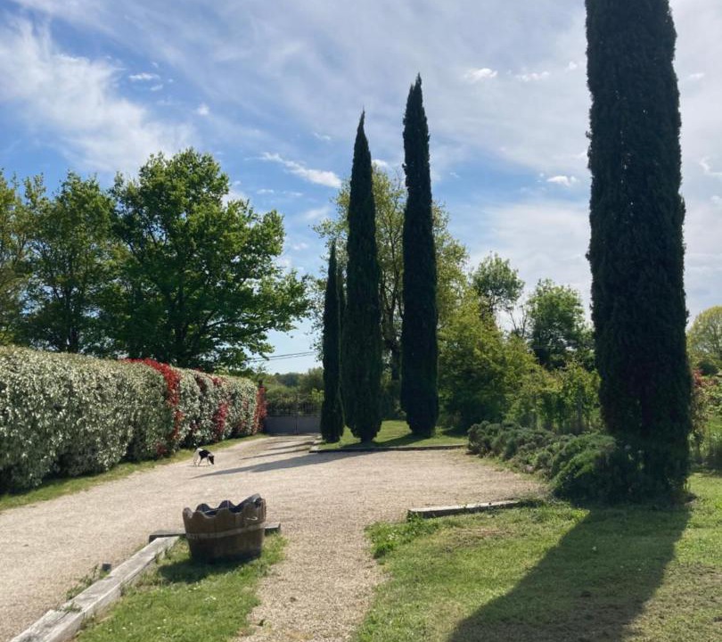 Photo of Others in Saint-Caprais-de-Bordeaux