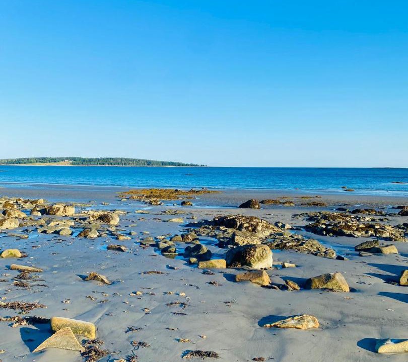 Photo of Others in Tenants Harbor