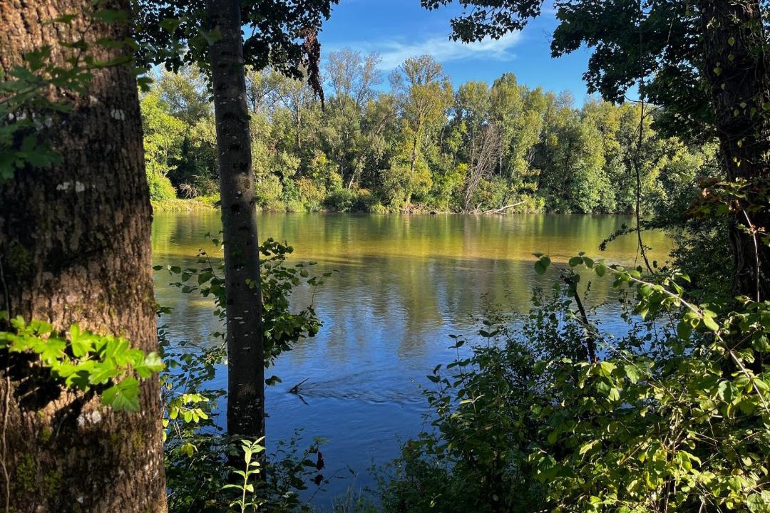 Photo of Others in Charnoz-sur-Ain