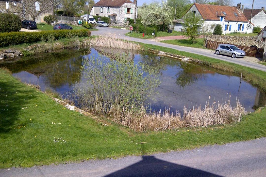 Photo of Others in Villeneuve-la-Lionne