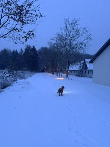 Photo of Others in Herning