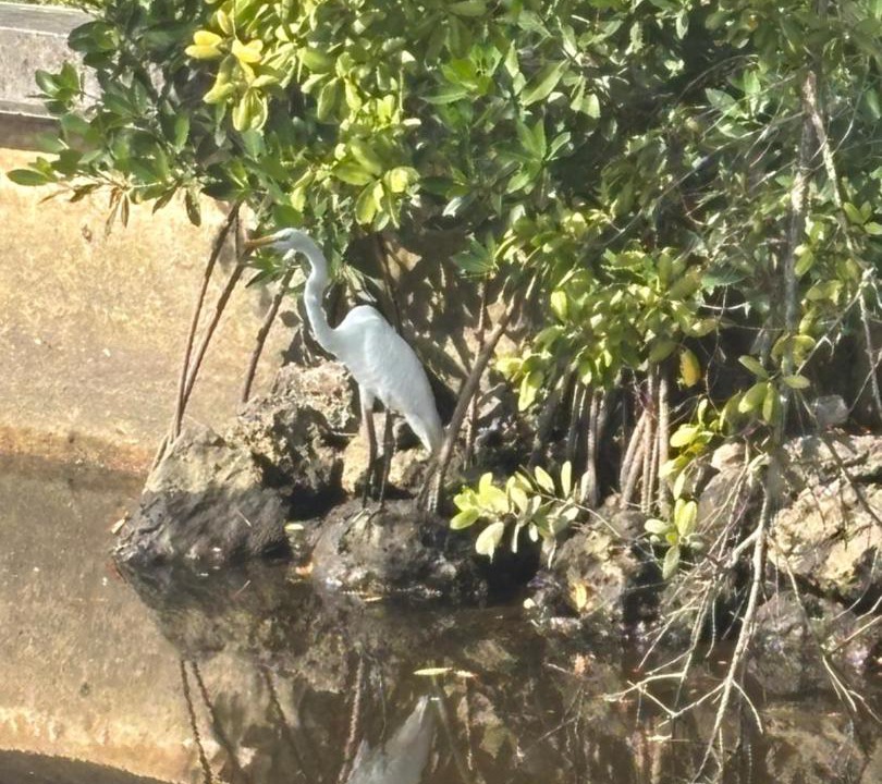 Photo of Others in Fort Myers