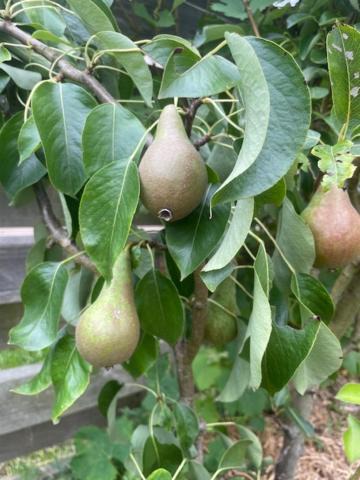 Photo of Others in Saint-Laurent-sur-Mer