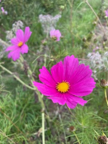 Photo of Outdoor in Saint-Laurent-sur-Mer