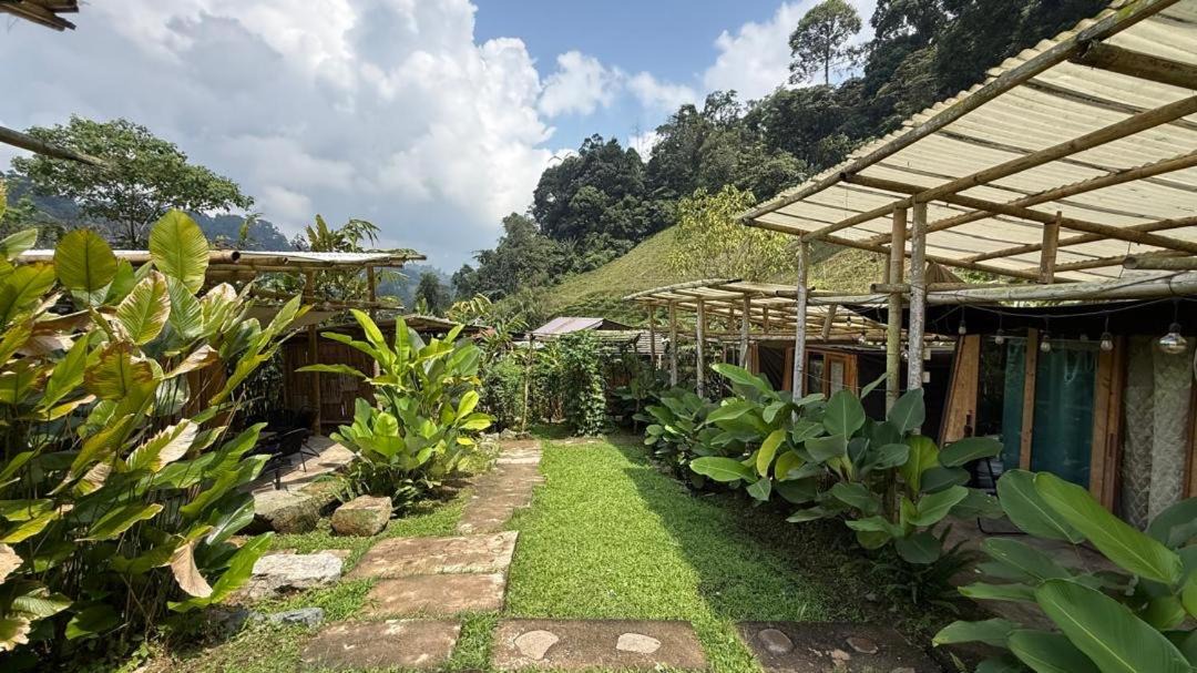 Photo of Others in Bukit Tinggi