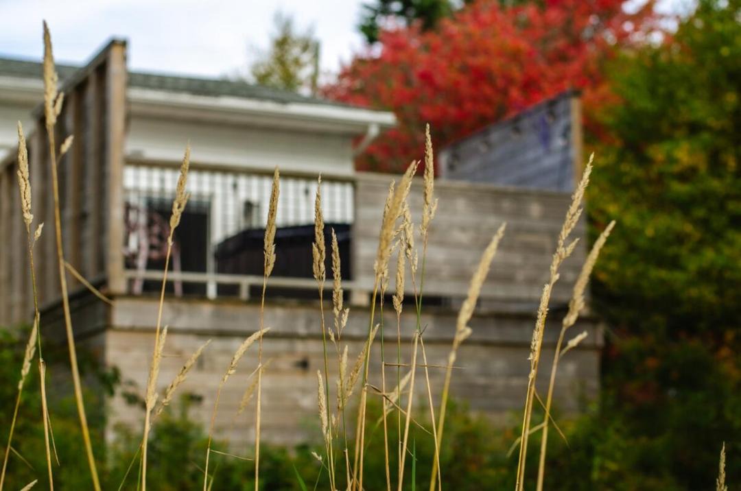 Photo of Others in Erbs Cove