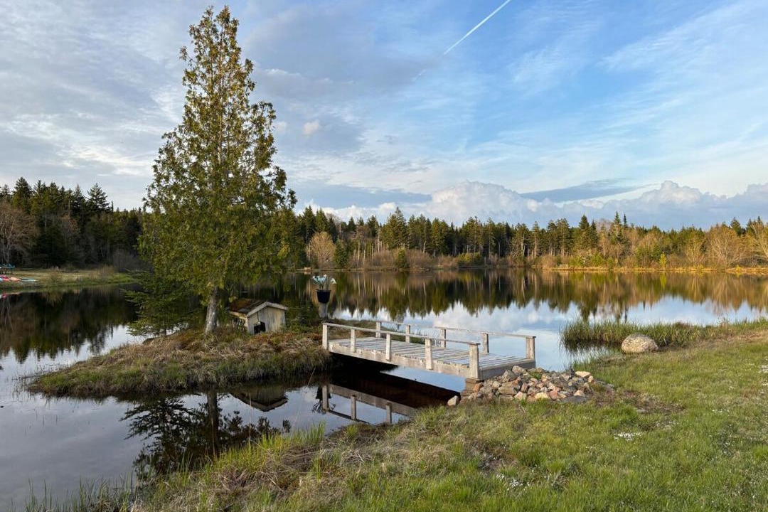 Photo of Others in Erbs Cove