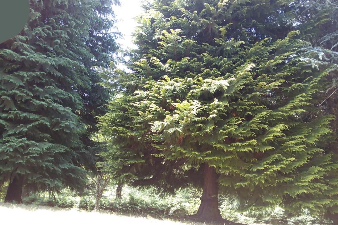 Photo of Others in Saint-Remy-Sur-Durolle