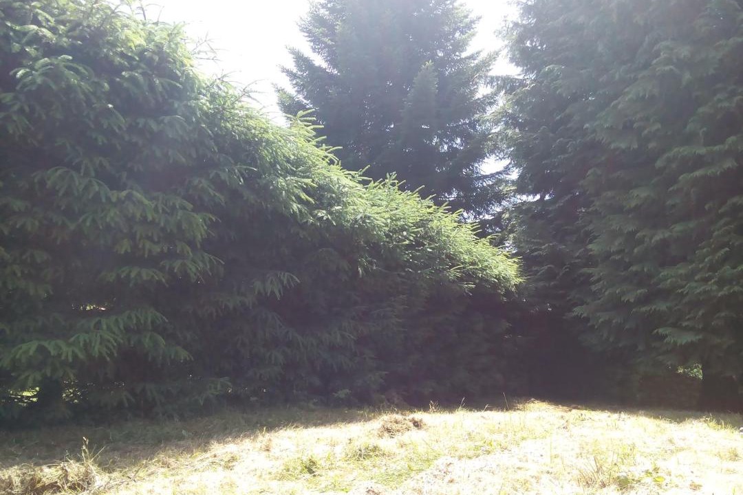 Photo of Outdoor in Saint-Remy-Sur-Durolle