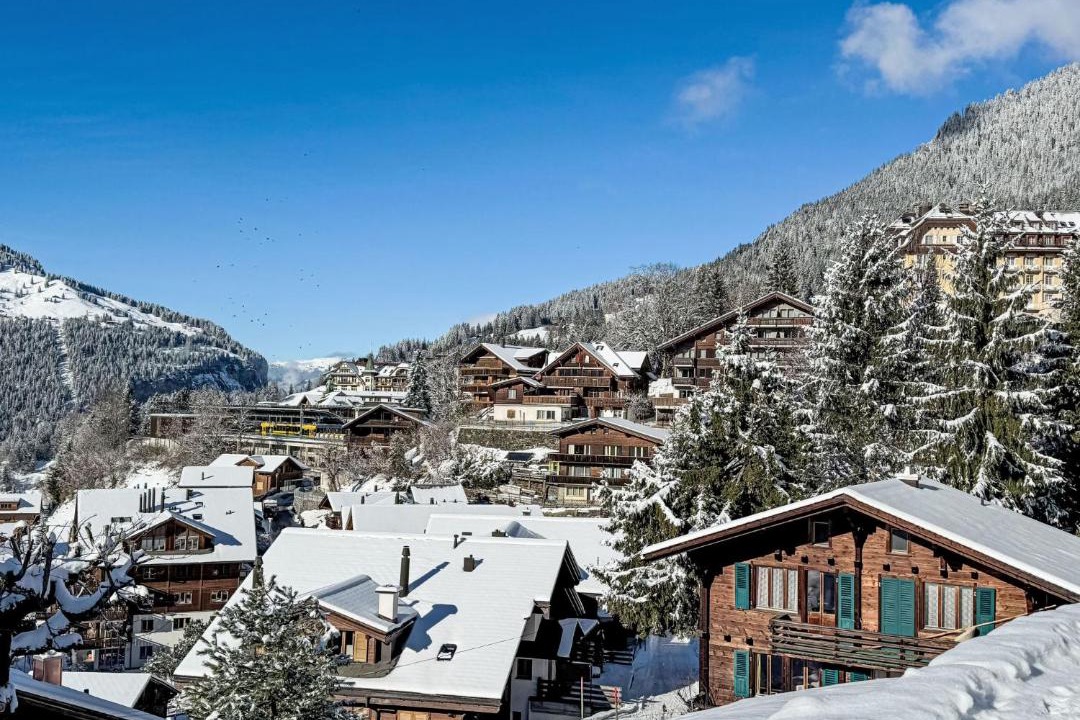 Photo of Others in Wengen