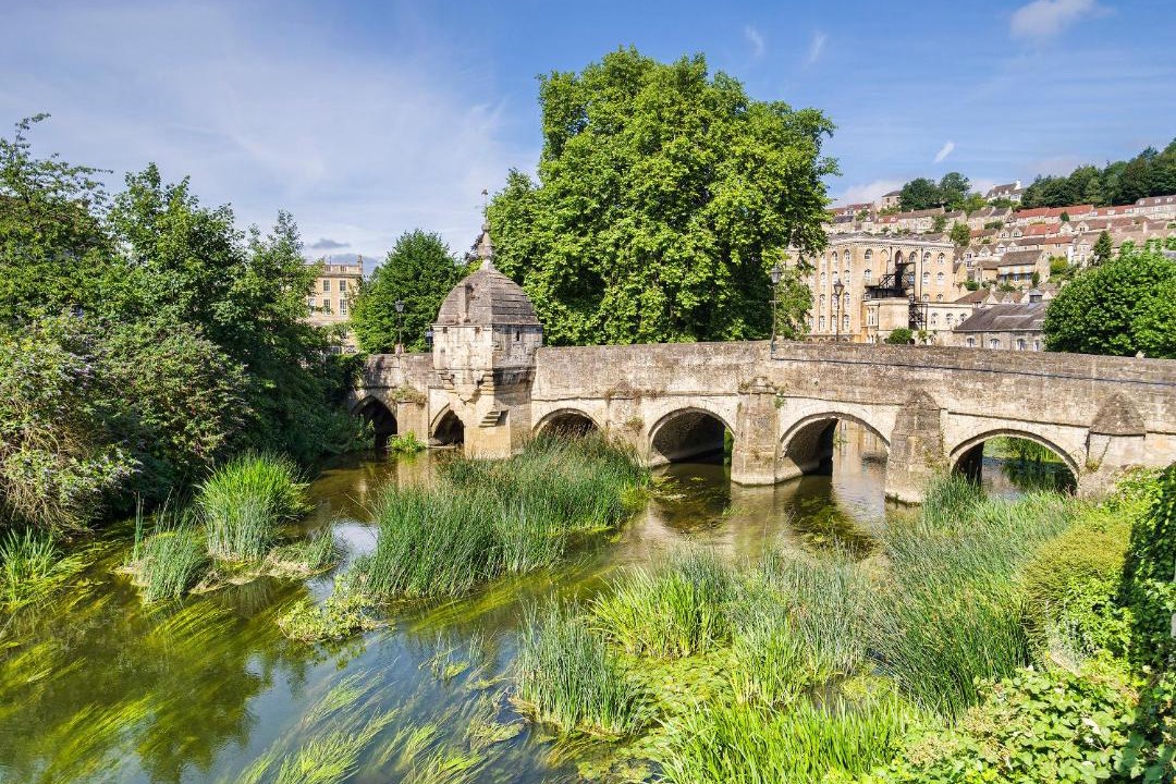 Photo of Others in Chippenham