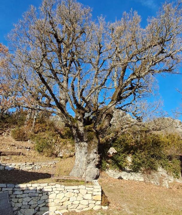 Photo of Outdoor in Trigance