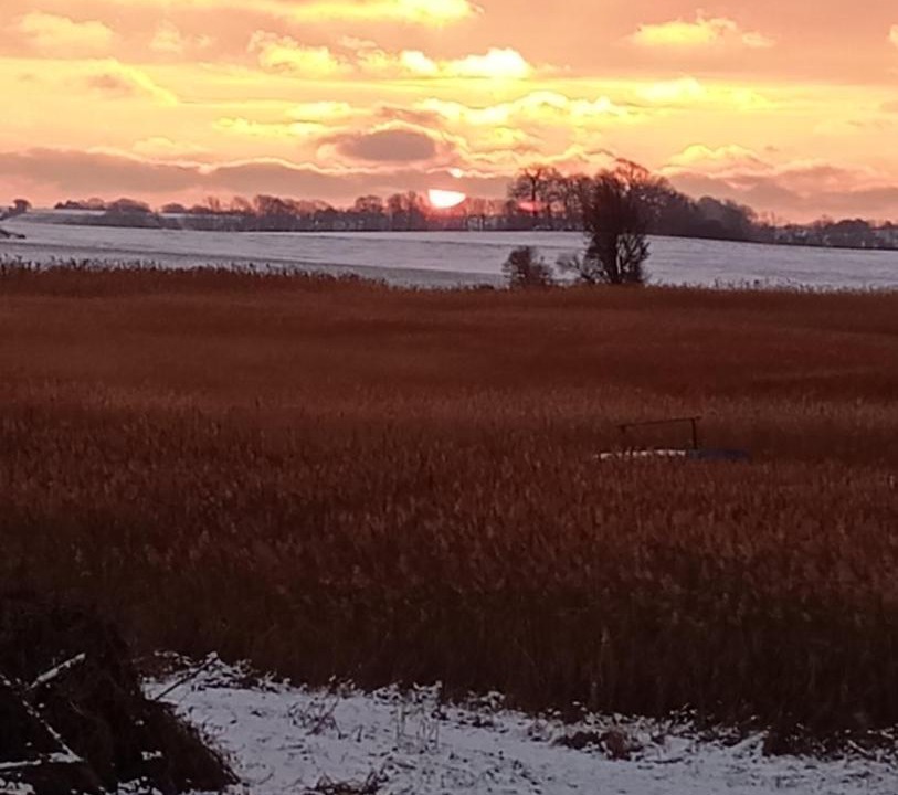 Photo of Others in Stege