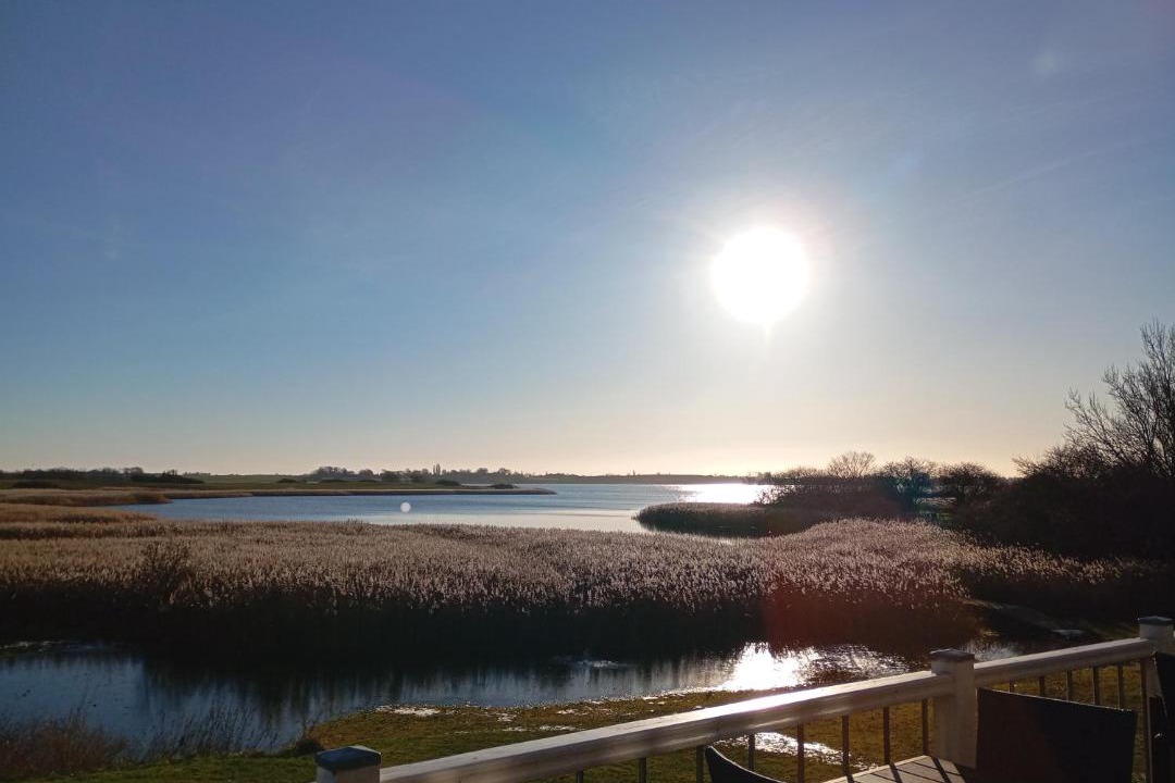 Photo of Others in Stege