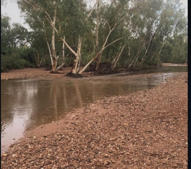 Photo of Others in Healy