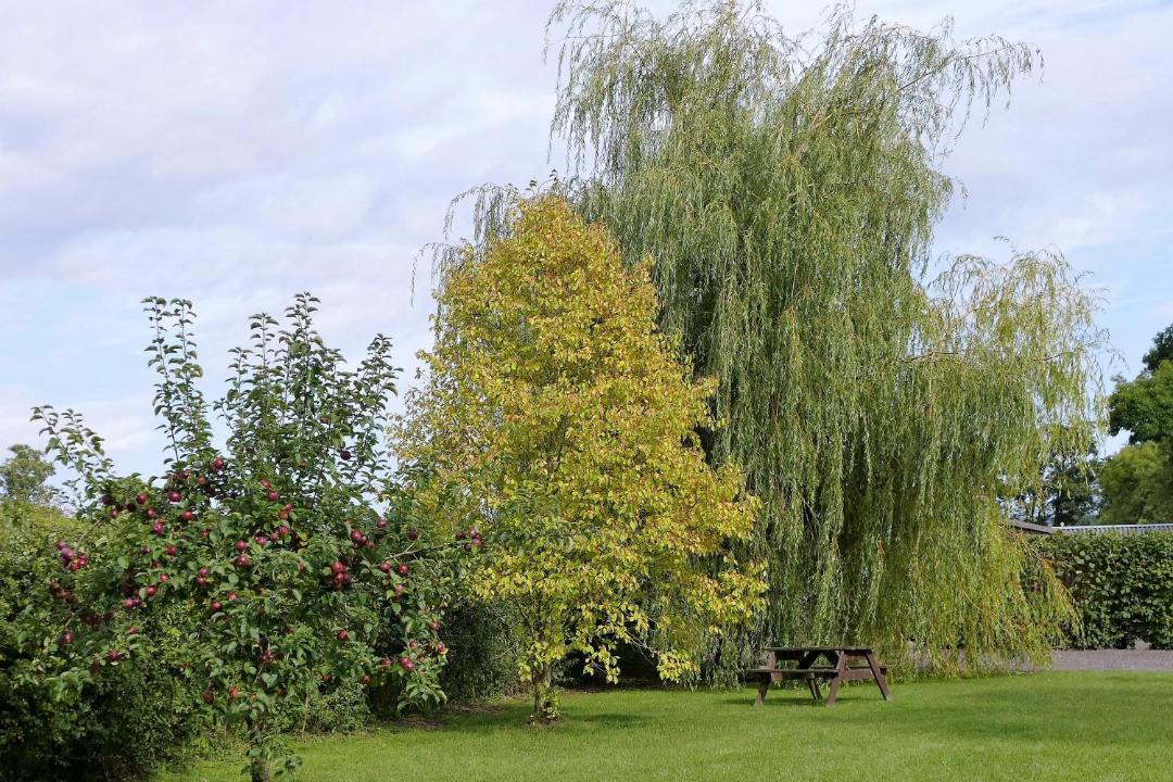 Photo of Outdoor in Wincanton