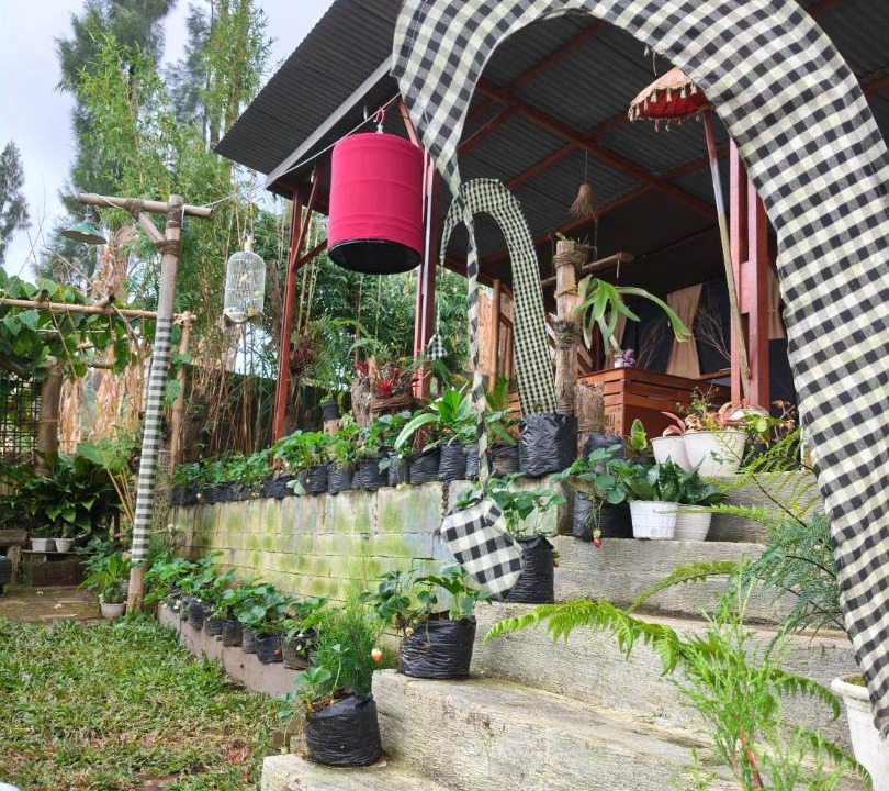 Photo of Others in Tosari