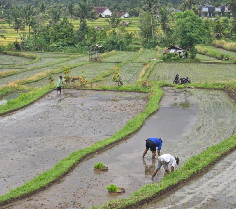 Photo of Others in Munduk